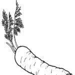 Raskrasil.com-Coloring-Pages-Carrot-88
