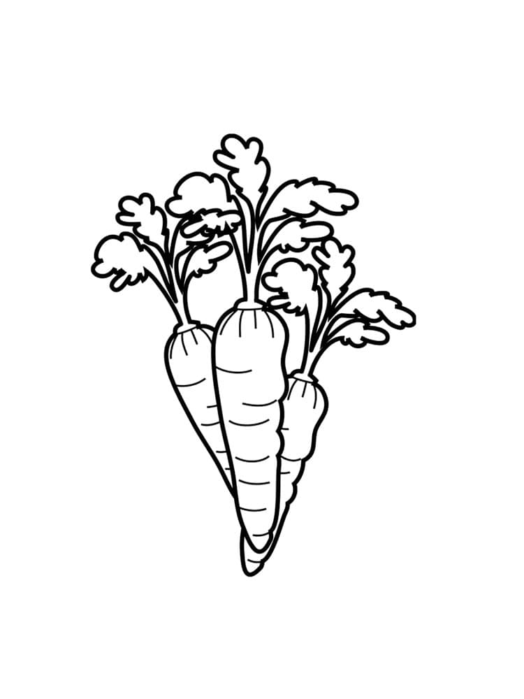 Raskrasil.com-Coloring-Pages-Carrot-89