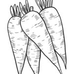 Raskrasil.com-Coloring-Pages-Carrot-9