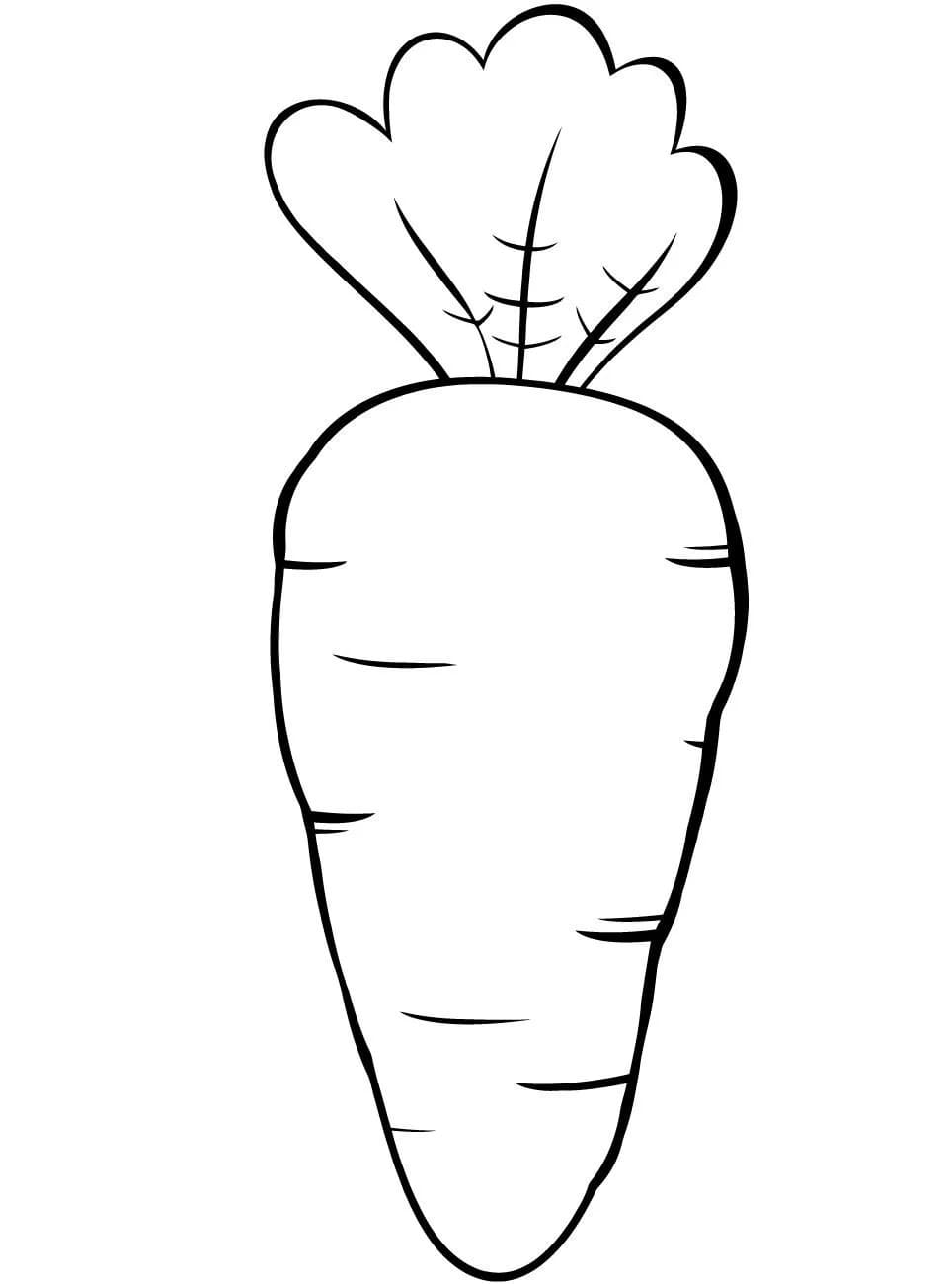 Raskrasil.com-Coloring-Pages-Carrot-90