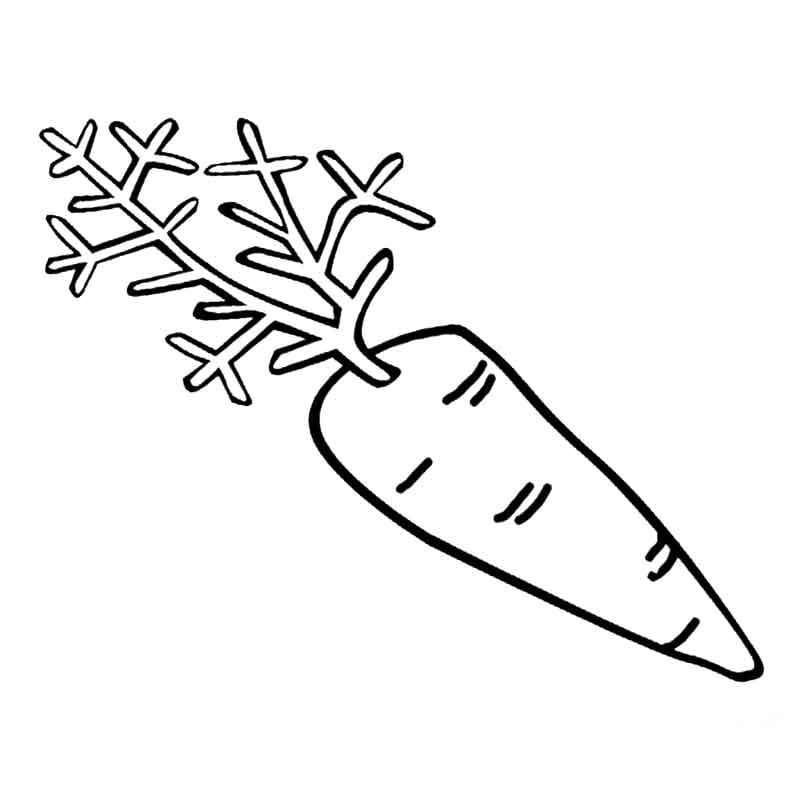 Raskrasil.com-Coloring-Pages-Carrot-96