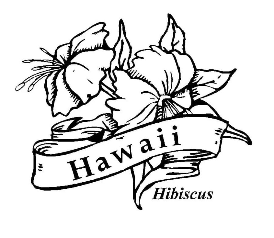 Desenhos de Havaí para Colorir