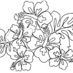 Raskrasil.com-Coloring-Pages-Hawaii-15