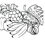 Raskrasil.com-Coloring-Pages-Hawaii-19
