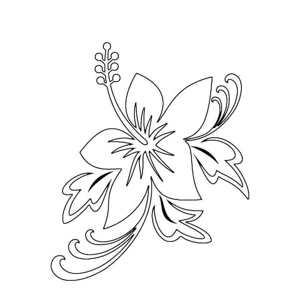 Raskrasil.com-Coloring-Pages-Hawaii-30