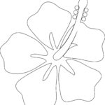Raskrasil.com-Coloring-Pages-Hawaii-62