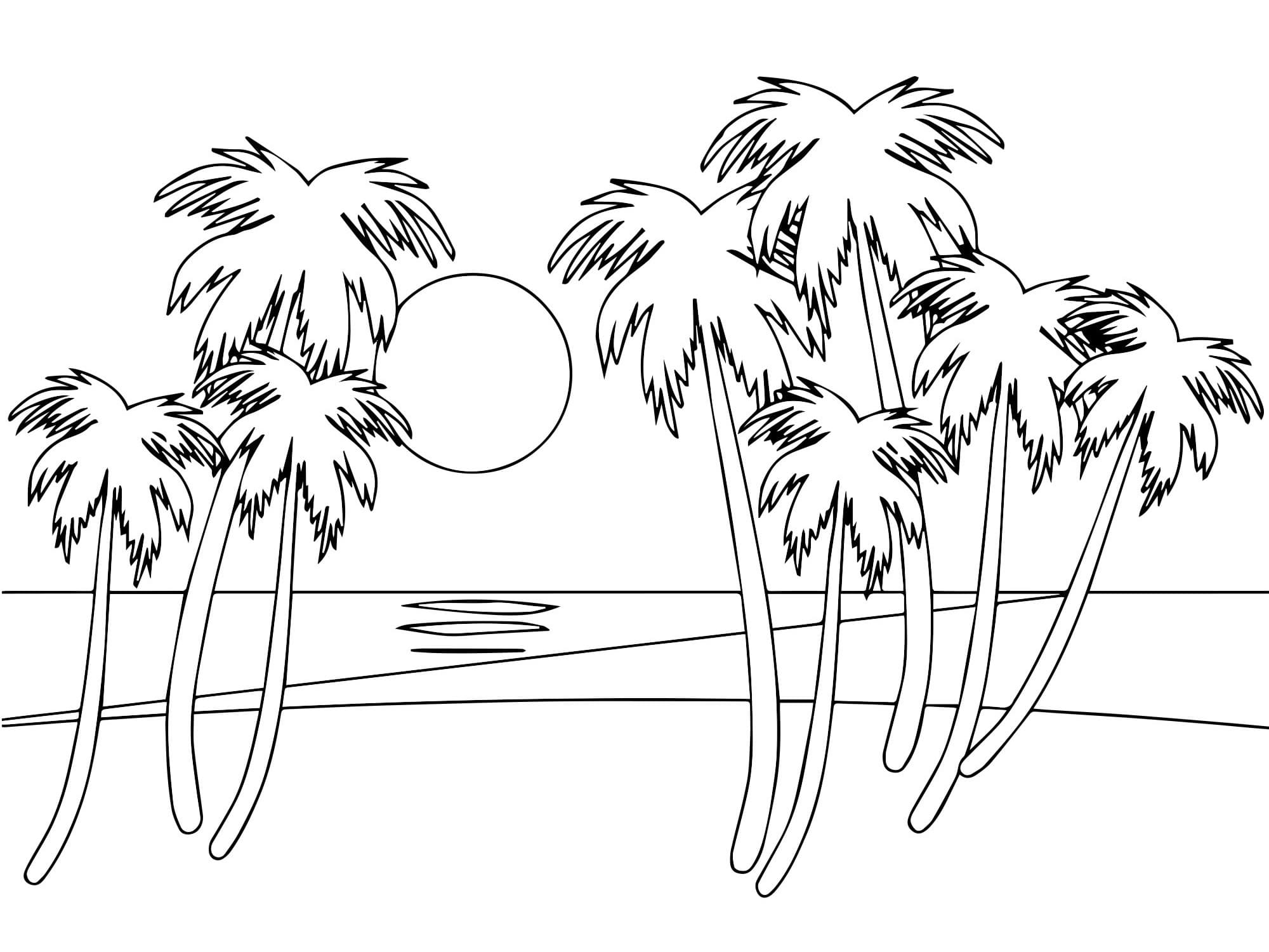 Raskrasil.com-Coloring-Pages-Hawaii-64