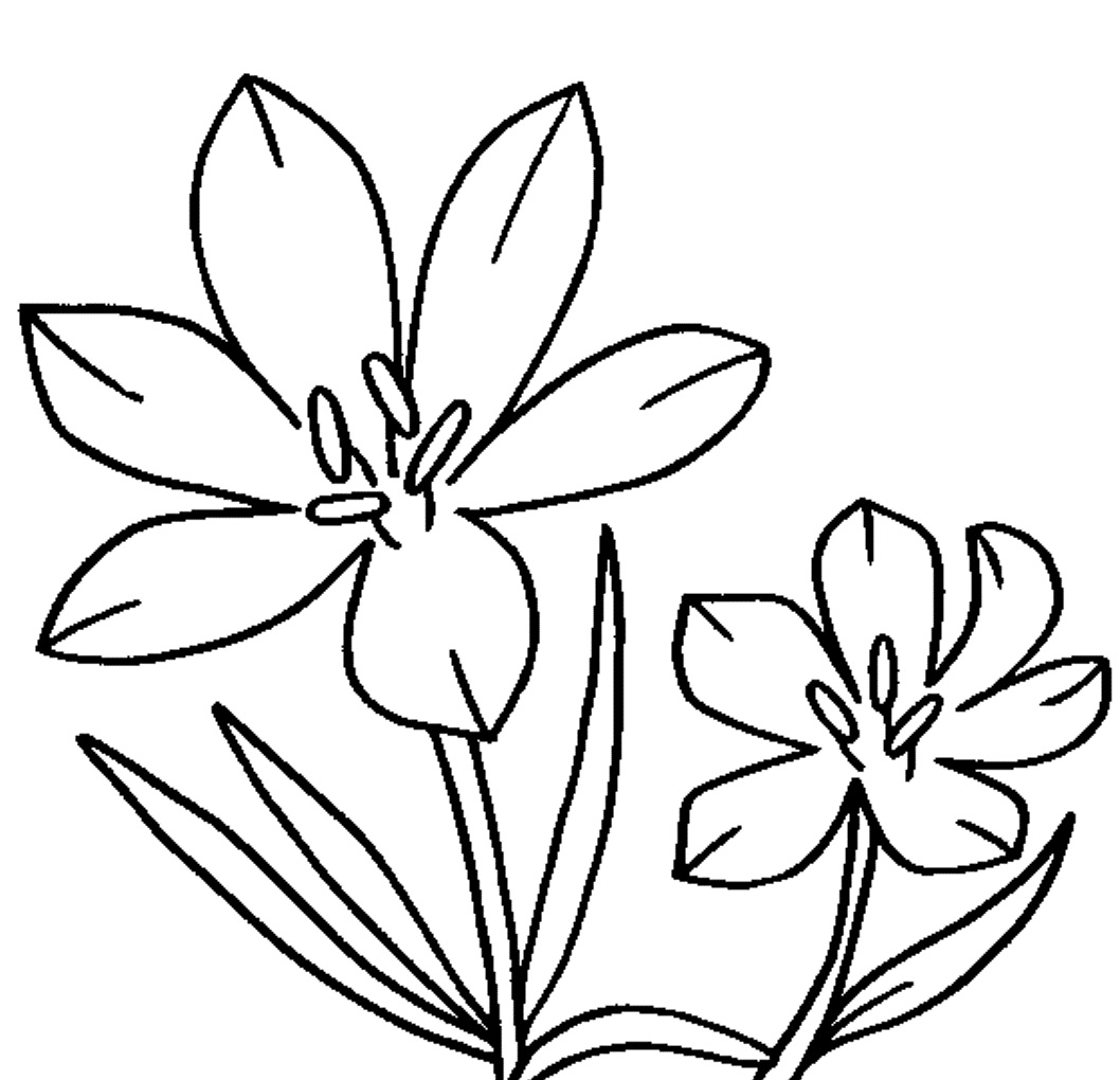 Raskrasil.com-Coloring-Pages-Spring-Flowers-110