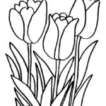 Raskrasil.com-Coloring-Pages-Spring-Flowers-25