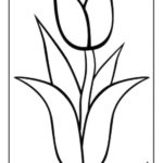 Raskrasil.com-Coloring-Pages-Spring-Flowers-27