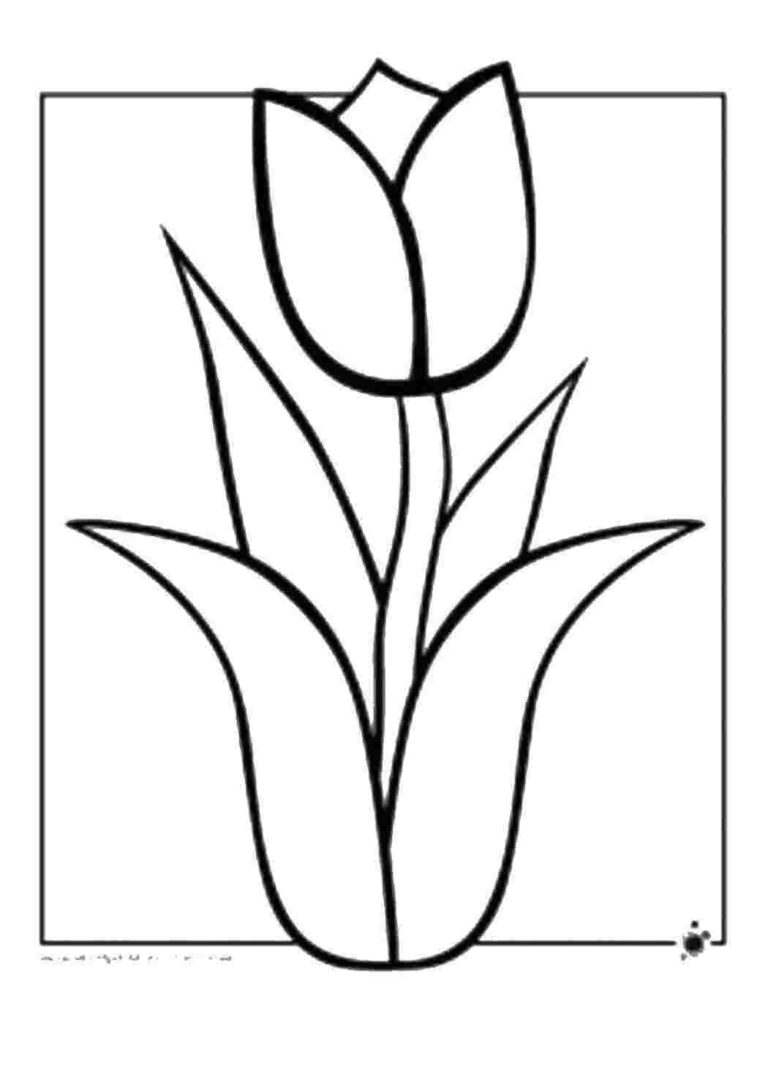 Ausmalbilder Frühlingsblumen | Malvorlagen zum Ausdrucken