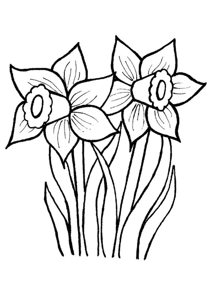 Raskrasil.com-Coloring-Pages-Spring-Flowers-28