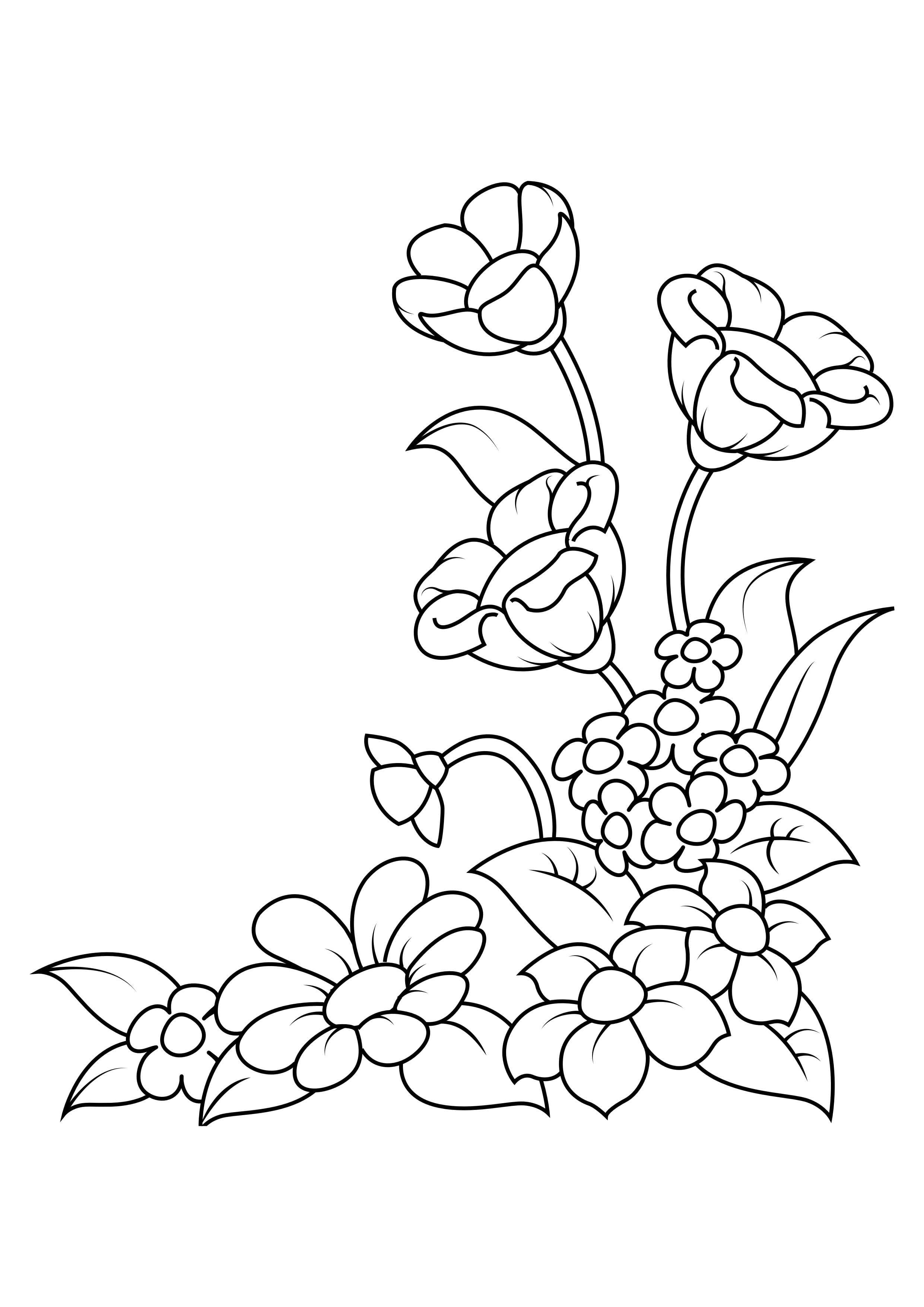 Raskrasil.com-Coloring-Pages-Spring-Flowers-36