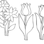 Raskrasil.com-Coloring-Pages-Spring-Flowers-37