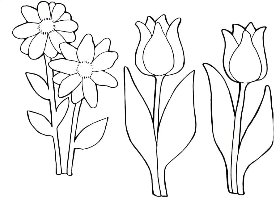 Raskrasil.com-Coloring-Pages-Spring-Flowers-37