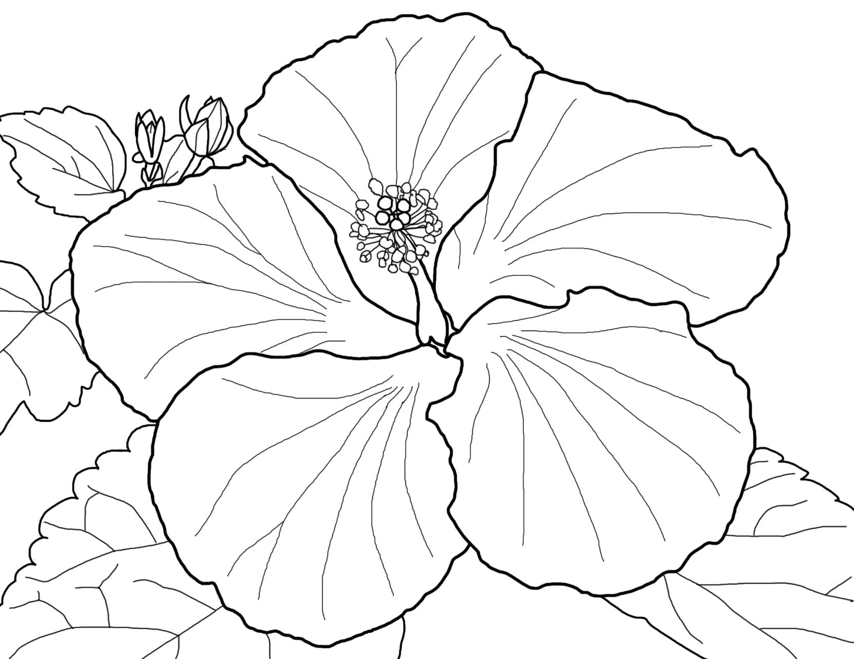 Raskrasil.com-Coloring-Pages-Spring-Flowers-42