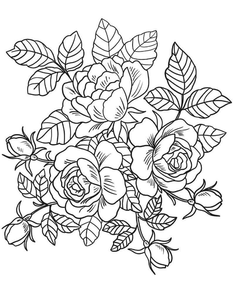 Raskrasil.com-Coloring-Pages-Spring-Flowers-47