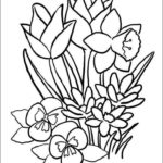 Raskrasil.com-Coloring-Pages-Spring-Flowers-57