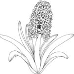 Previous Attachment