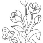 Raskrasil.com-Coloring-Pages-Spring-Flowers-62