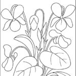 Raskrasil.com-Coloring-Pages-Spring-Flowers-65