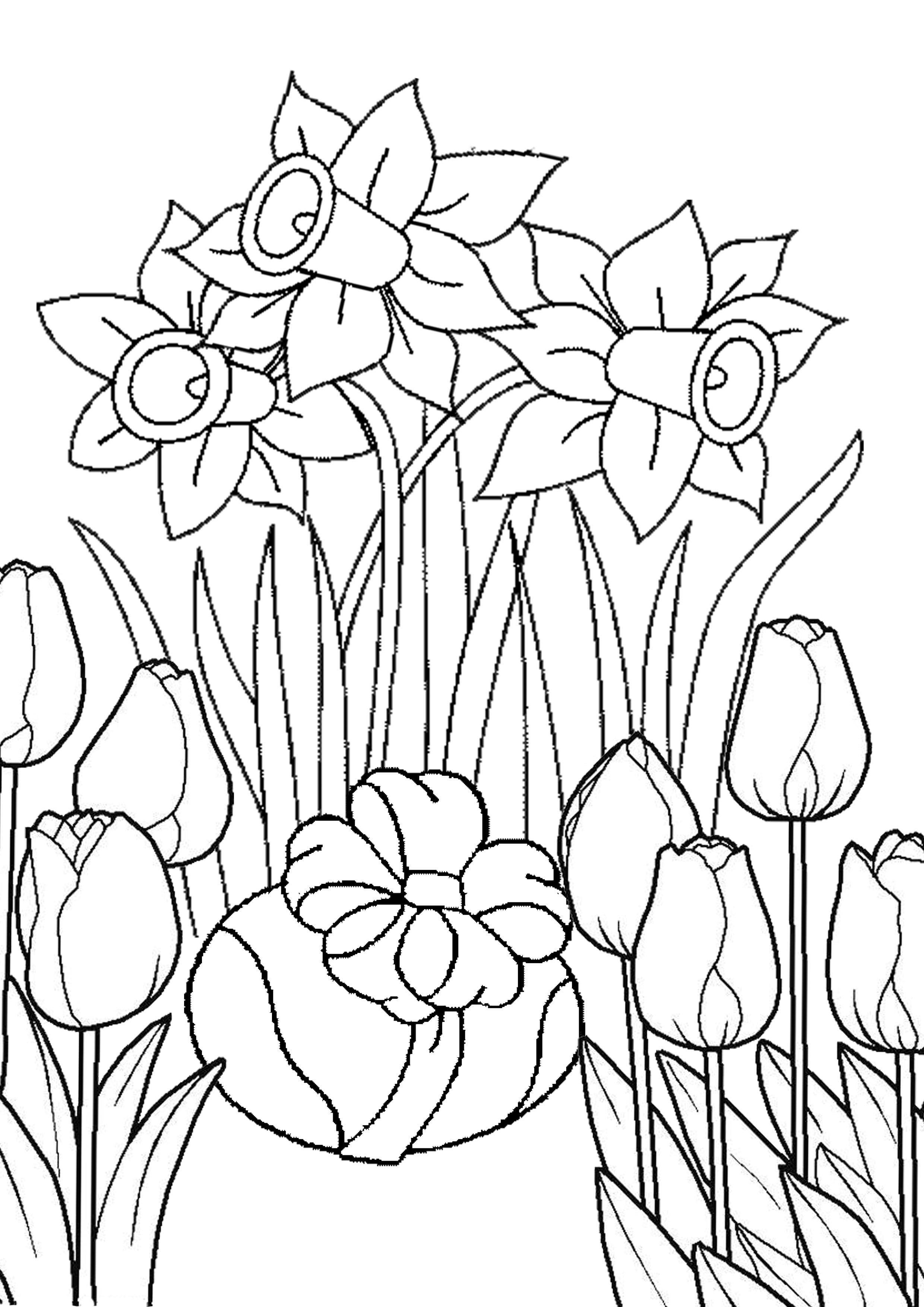 Raskrasil.com-Coloring-Pages-Spring-Flowers-66