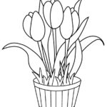 Raskrasil.com-Coloring-Pages-Spring-Flowers-76