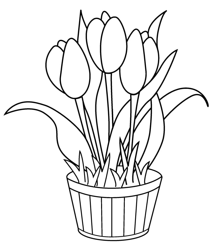 Raskrasil.com-Coloring-Pages-Spring-Flowers-76