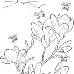 Raskrasil.com-Coloring-Pages-Spring-Flowers-8