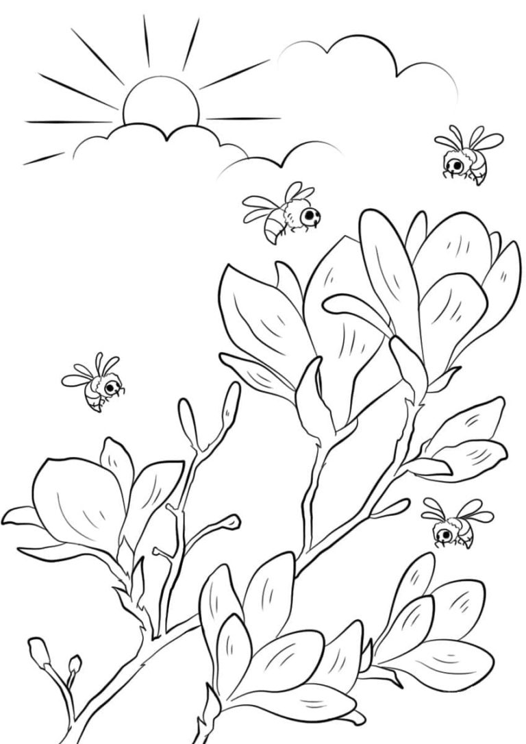 Ausmalbilder Frühlingsblumen | Malvorlagen zum Ausdrucken
