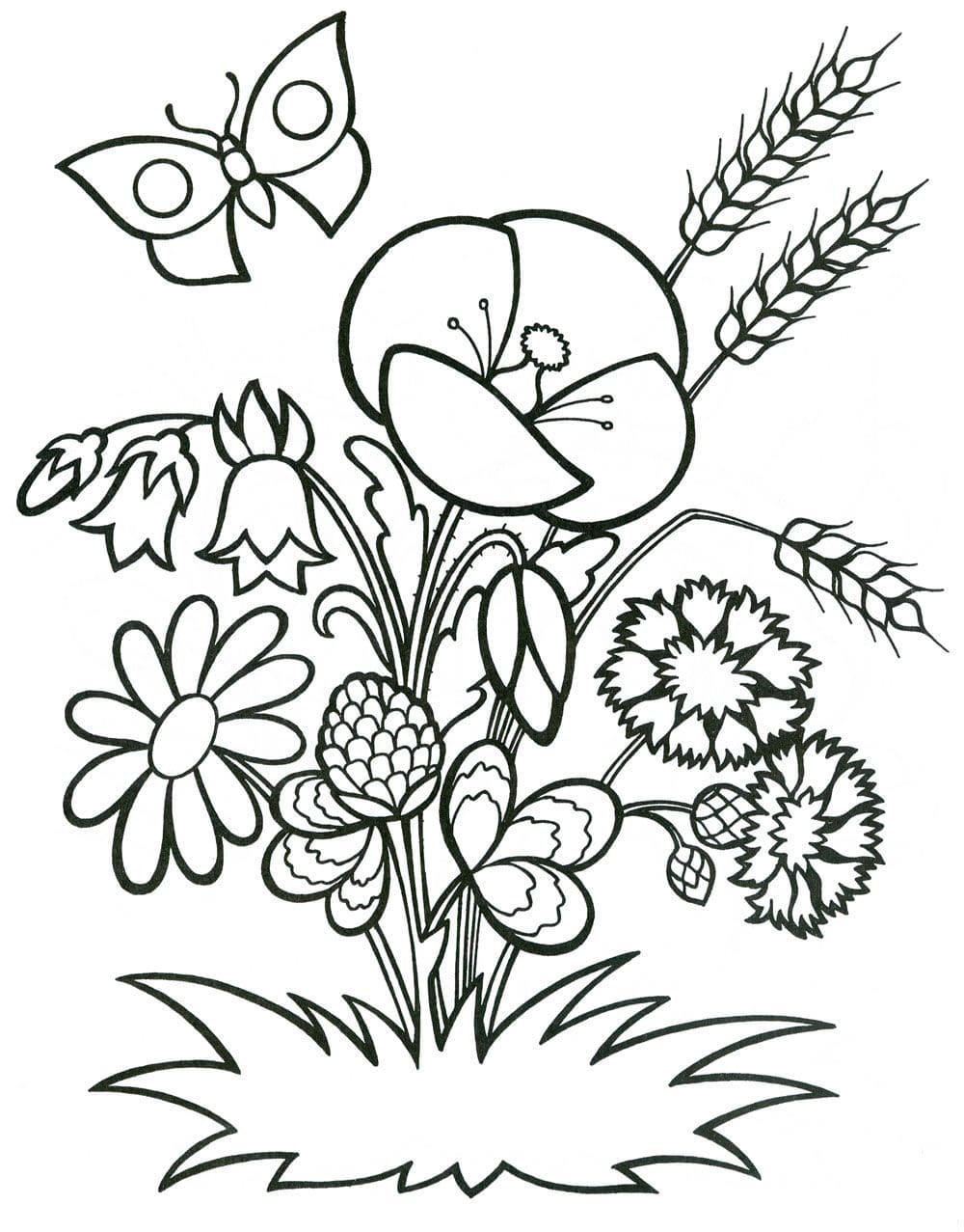 Raskrasil.com-Coloring-Pages-Spring-Flowers-82