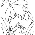 Raskrasil.com-Coloring-Pages-Spring-Flowers-86