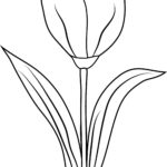 Raskrasil.com-Coloring-Pages-Spring-Flowers-89