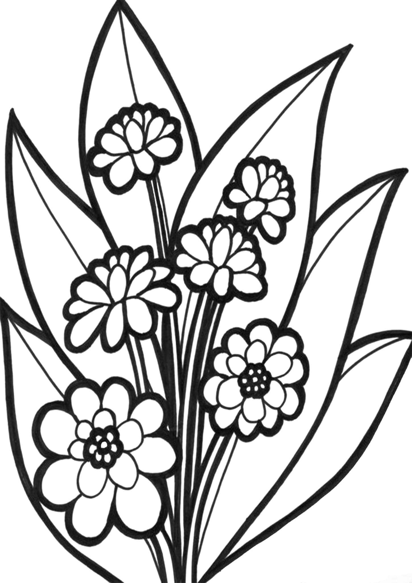 Raskrasil.com-Coloring-Pages-Spring-Flowers-93