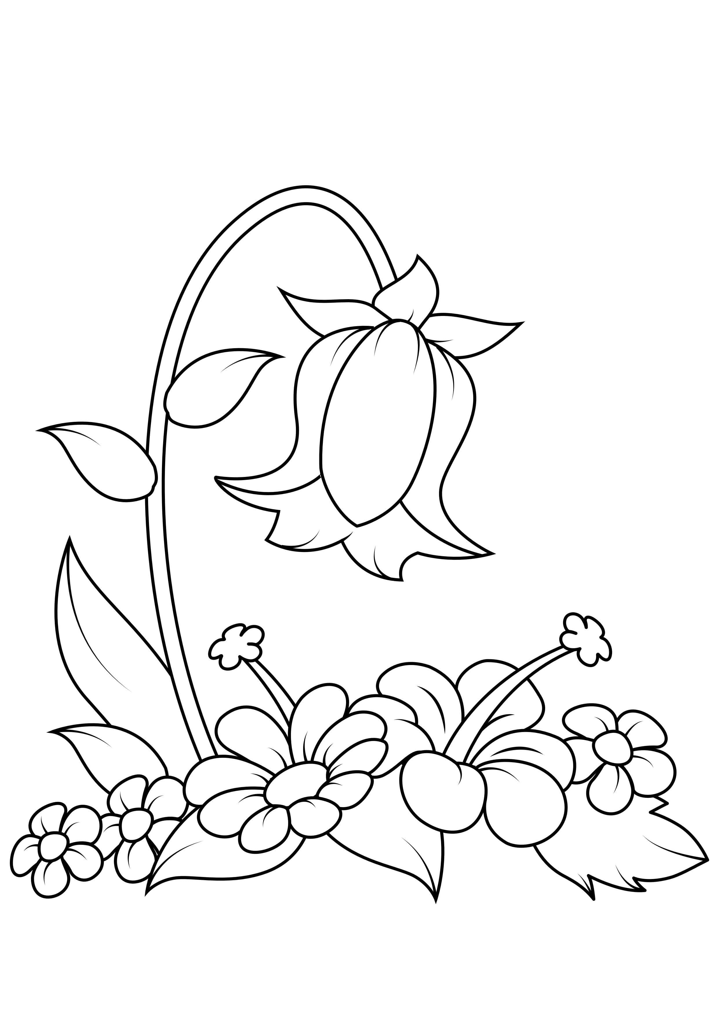 Raskrasil.com-Coloring-Pages-Spring-Flowers-94