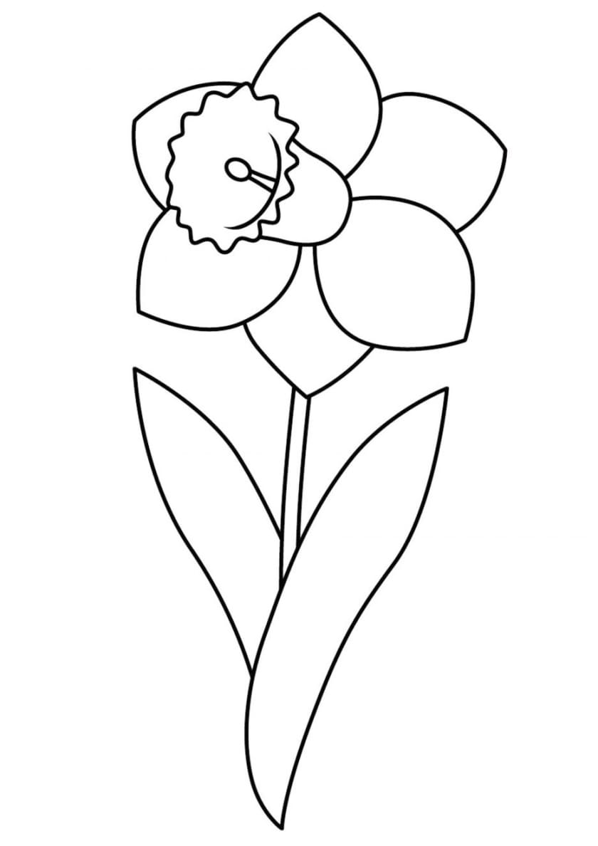 Raskrasil.com-Coloring-Pages-Spring-Flowers-95