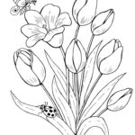 Raskrasil.com-Coloring-Pages-Spring-Flowers-96