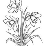 Raskrasil.com-Coloring-Pages-Spring-Flowers-98