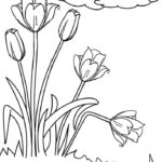 Raskrasil.com-Coloring-Pages-Spring-Flowers-99