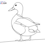 Raskrasil.com-Duck-New-Coloring-Pages-1