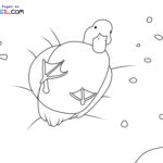 Raskrasil.com-Duck-New-Coloring-Pages-10