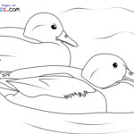 Raskrasil.com-Duck-New-Coloring-Pages-8