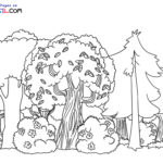 Raskrasil.com-Forest-New-Coloring-Pages-1