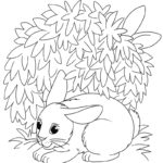 Raskrasil.com-Forest-New-Coloring-Pages-4