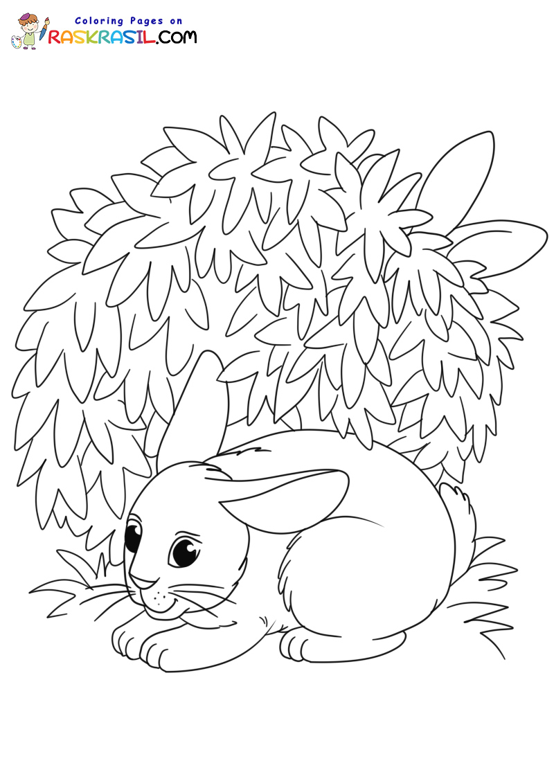 Raskrasil.com-Forest-New-Coloring-Pages-4