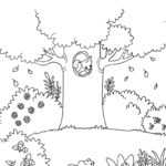 Raskrasil.com-Forest-New-Coloring-Pages-5