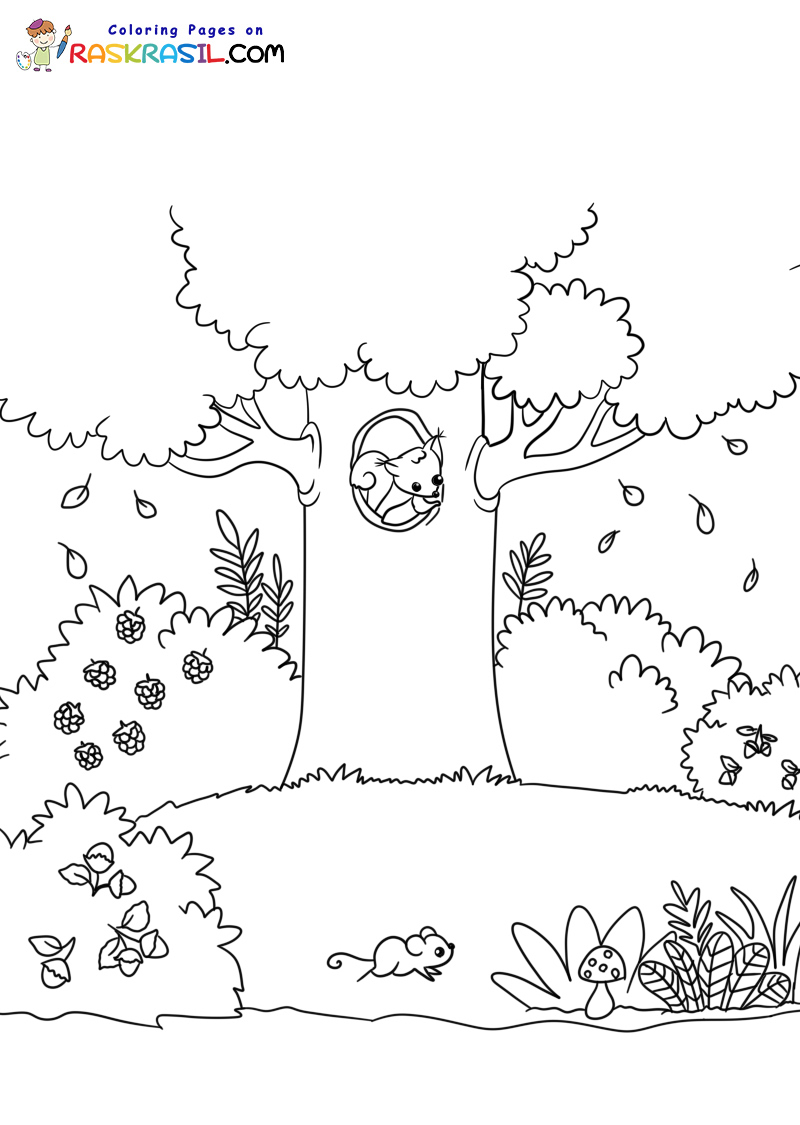 Raskrasil.com-Forest-New-Coloring-Pages-5