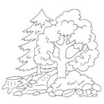 Raskrasil.com-Forest-New-Coloring-Pages-6