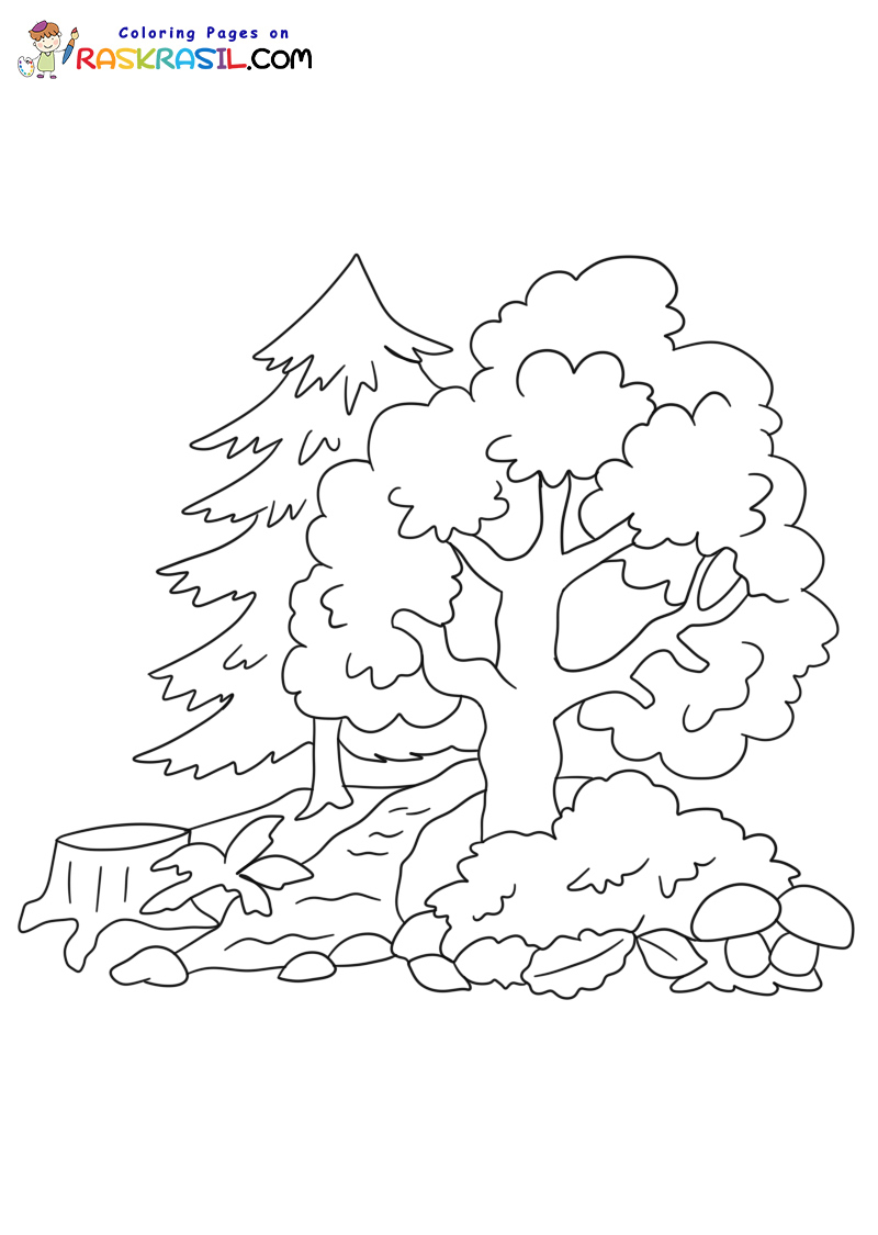 Raskrasil.com-Forest-New-Coloring-Pages-6