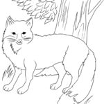 Raskrasil.com-Forest-New-Coloring-Pages-7